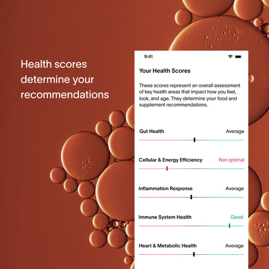 전신 지능™ 테스트