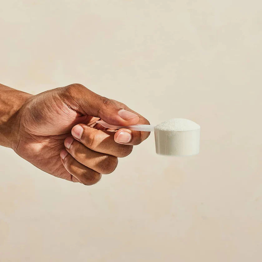 이너퓨얼 프리바이오틱스