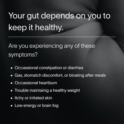 장 건강 지능™ 테스트 