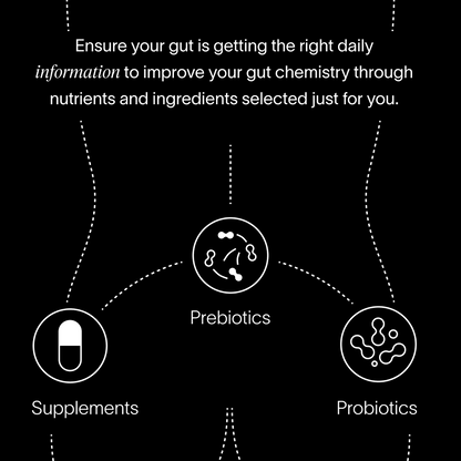 장 건강 지능™ 테스트 