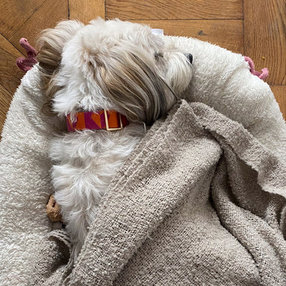 Leela Quantum HEAL® 자카드 강아지 목줄 