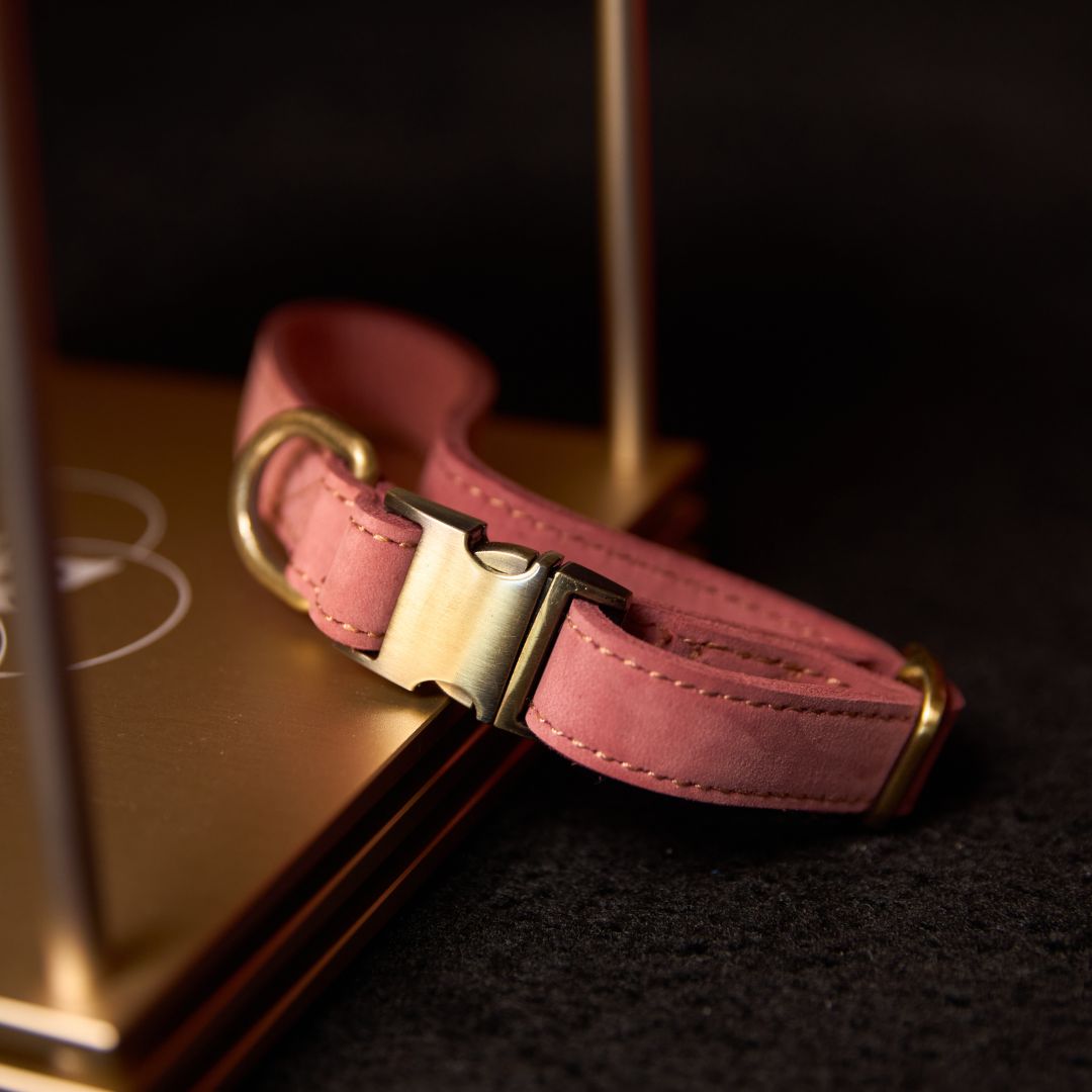 Leela Quantum H.E.A.L.® Leather Collar for Dogs