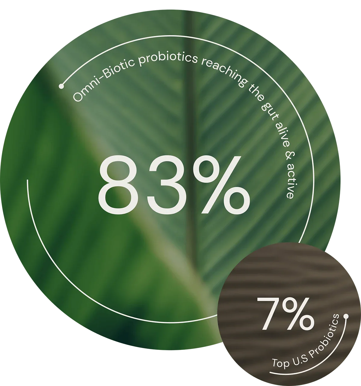 OMNi-BiOTiC – Maxishop