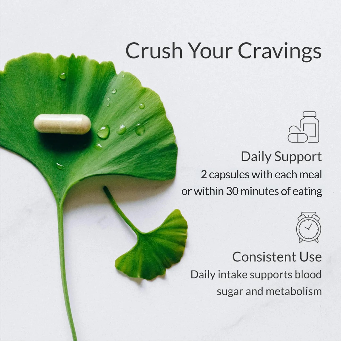 베르베린 브레이크스루 (이전 명칭: 혈당 브레이크스루) 